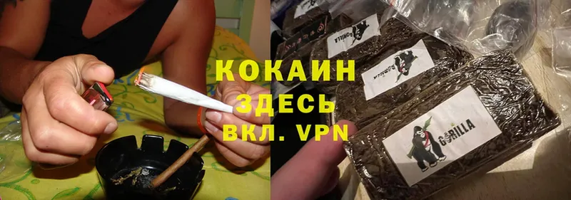 COCAIN VHQ  Алапаевск 