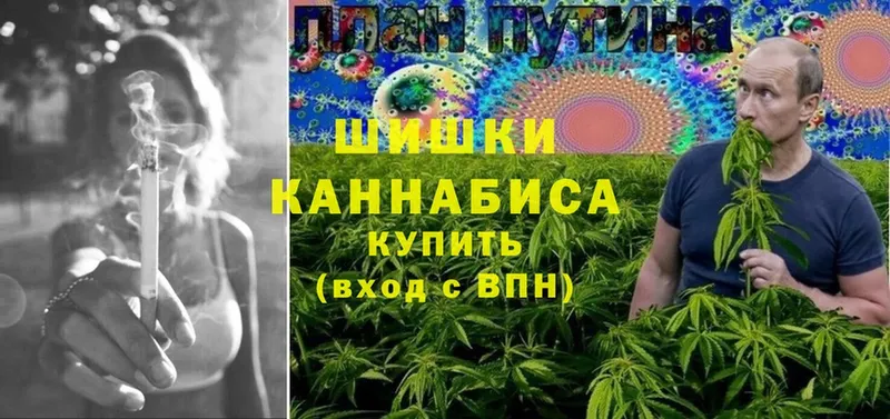 продажа наркотиков  Алапаевск  Бошки Шишки THC 21% 